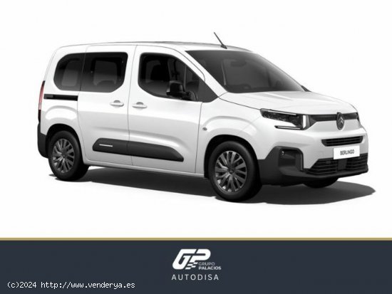 Citroën Berlingo Talla M BlueHDi 100 S&S PLUS - 