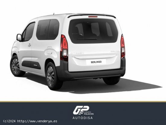 Citroën Berlingo Talla M BlueHDi 100 S&S PLUS - 