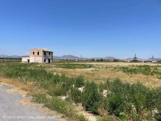 Finca con casa para reformar - ALICANTE