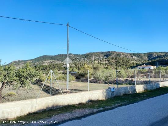 SE VENDE PARCELA EN HONDON DE LAS NIEVES ZONA BAYON - ALICANTE