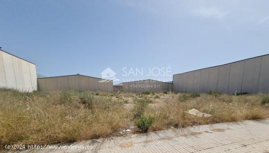 SOLAR TERRENO URBANO EN MONOVAR ZONA PASTORET - ALICANTE