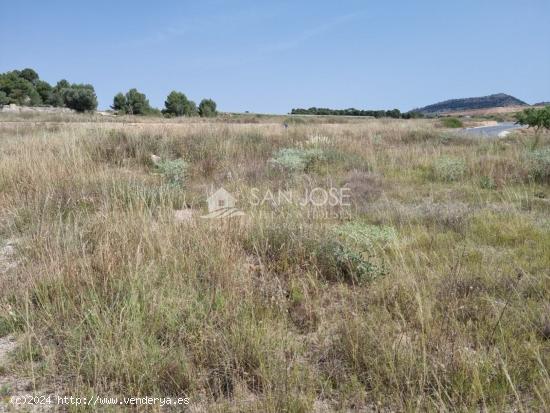  TERRENO RUSTICO PARCELA EN CAÑADA MINCHOT MONOVAR - ALICANTE 