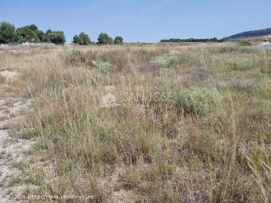 TERRENO RUSTICO PARCELA EN CAÑADA MINCHOT MONOVAR - ALICANTE