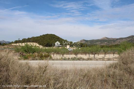  VENTA DE TERRENO EN SAX - ALICANTE 