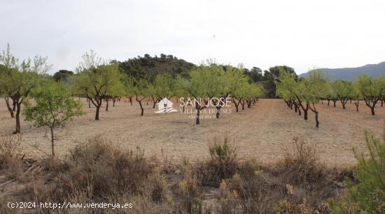 VENTA DE TERRENO EN SAX - ALICANTE