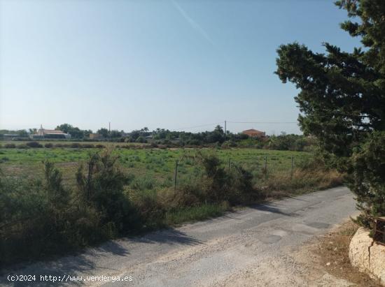 ¡GRAN OPORTUNIDAD!, PARCELA DE TERRENO FINCA DE 17MIL METROS - ALICANTE