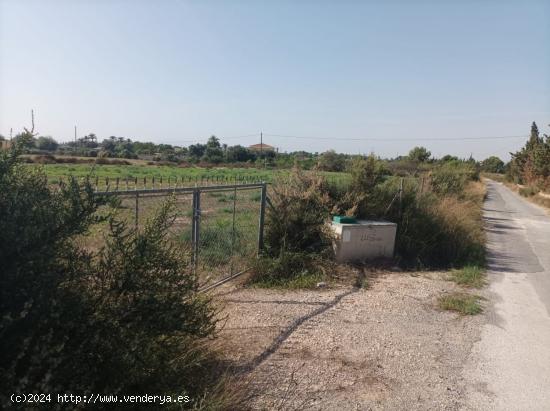 SE VENDE TERRENO RÚSTICO AGRICOLA PARA CONSTRUIR NUEVO CHALET - ALICANTE