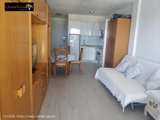 APARTAMENTO CARLOTI LIBRE EN AGOSTO - ALICANTE