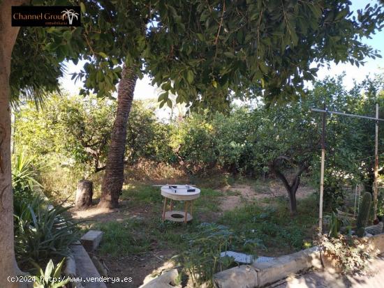 SE VENDE CHALET EN LA PARTIDA DE ALTABIX!!!!!!!!!! - ALICANTE