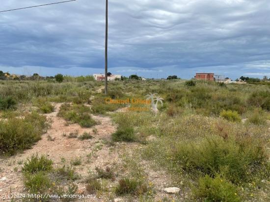 SE VENDE TERRENO EN CARRETERA DE ALTET - ALICANTE