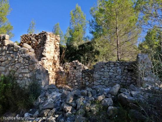 Ruina para reformar en Alcalali - ALICANTE