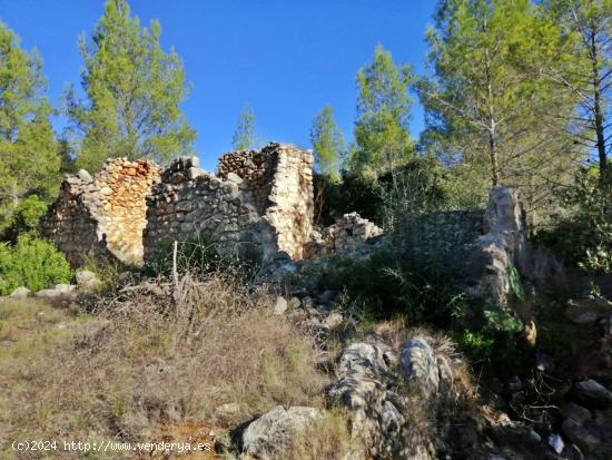 Ruina para reformar en Alcalali - ALICANTE