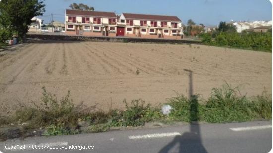 Se vende Terreno Rustico en Santa Cruz - MURCIA