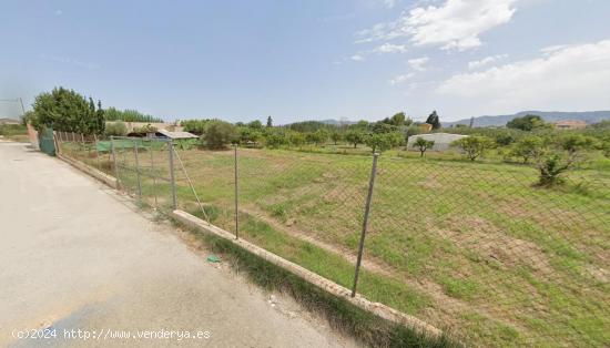 SE VENDE TERRENO RUSTICO ENTRE ZARANDONA Y CABEZO DE TORRES - MURCIA