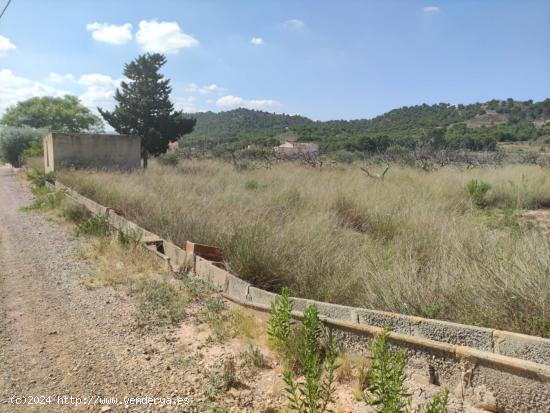 TERRENO CON CUARTO DE APEROS - MURCIA