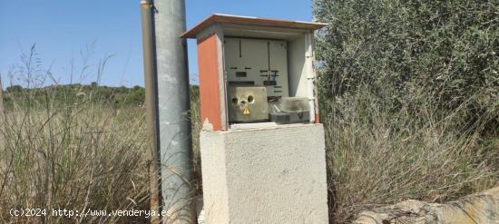 TERRENO CON CUARTO DE APEROS - MURCIA