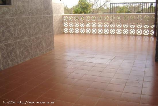 Se Vende en Elche - ALICANTE