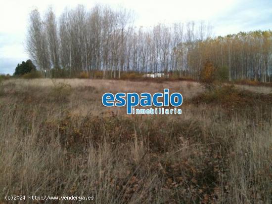 VENTA FINCA EDIFICABLE EN CUBILLOS DEL SIL - LEON