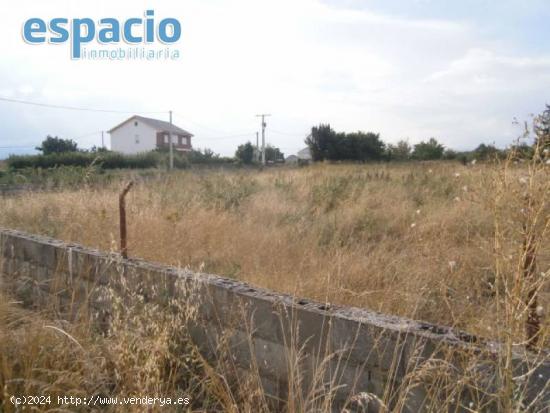 VENTA FINCA EN CARRACEDELO - LEON