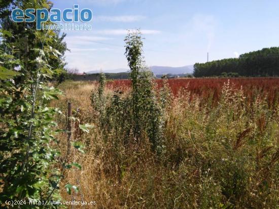 FINCA A LA VENTA EN BARCENA DEL BIERZO - LEON