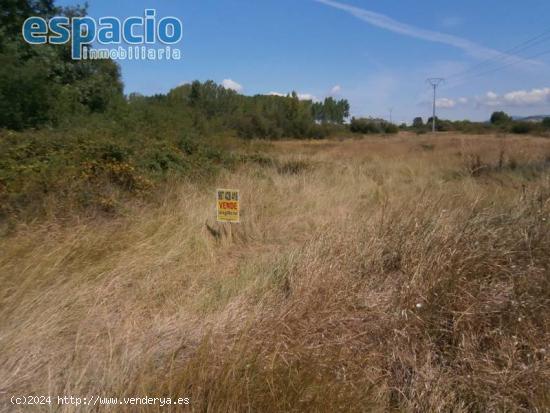 VENTA TERRENO EN CUBILLOS DEL SIL - LEON