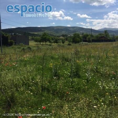 VENTA FINCA EN EL CAMINO DE SANTIAGO - LEON