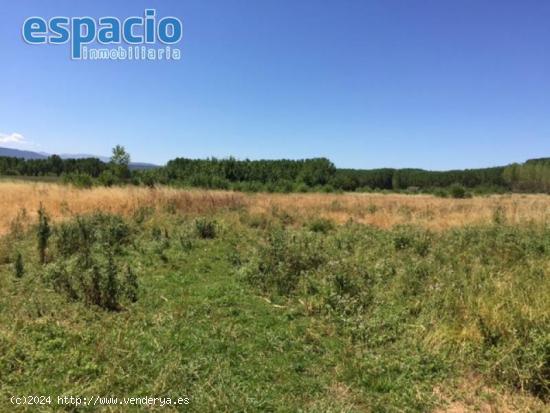 VENTA FINCA RUSTICA EN DEHESAS - LEON