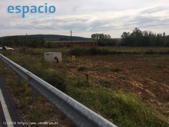 VENTA FINCA EDIFICABLE ARGANZA - LEON