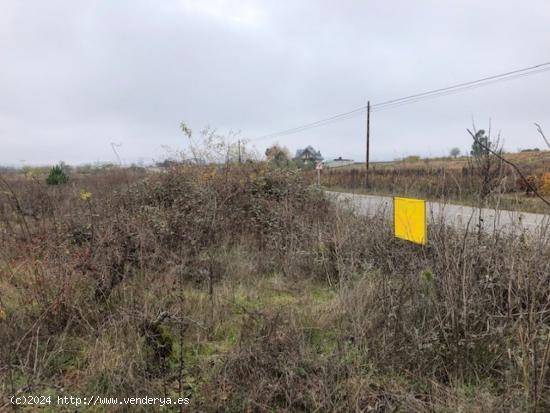 VENTA FINCA RUSTICA EN CACABELOS - LEON