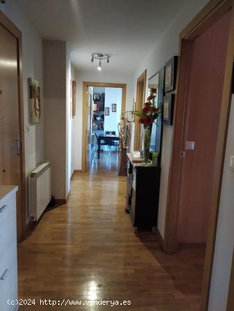 VENTA APARTAMENTO ADAPT.MINUSVALIDOS EN CAMPONARAYA - LEON