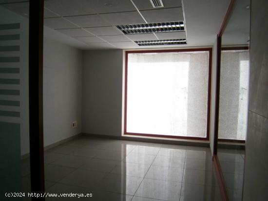 LOCAL COMERCIAL EN ELCHE - ALICANTE