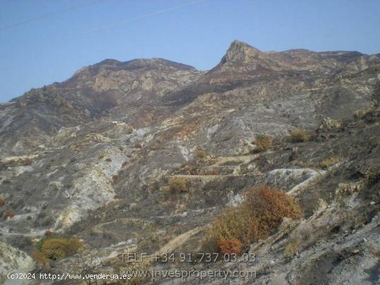 VENTA-PARCELA RUSTICA-TURRE-SIERRA CABRERA- 5.000.000M2 - ALMERIA