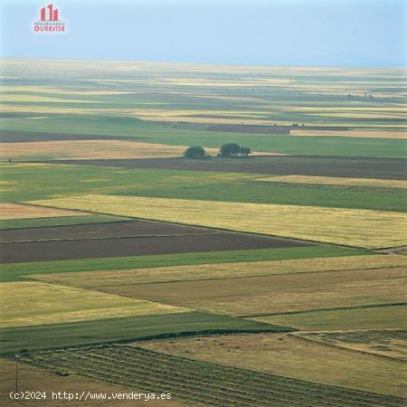 SE VENDE FINCA RUSTICA PRÓXIMA AL CENTRO DE LA CIUDAD - ORENSE