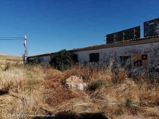 NAVE AGRICOLA EN ALQUILER ZONA ALDEHUELA - ZAMORA