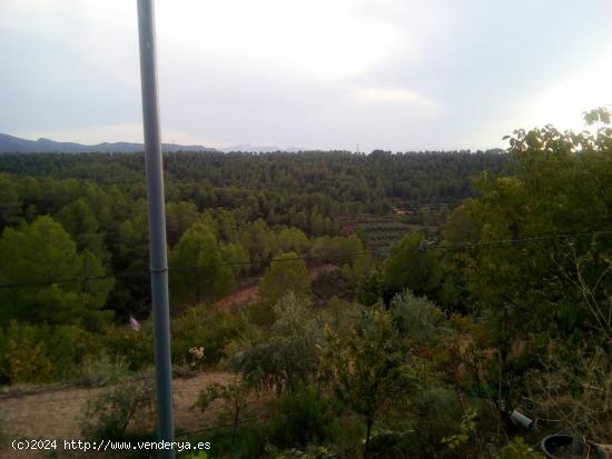 FINCA AGRICOLA DE REGADIO CON DOS MASIAS DE NUEVA CONSTRUCCION EN PARAJE SINGULAR - DARMOS. - TARRAG