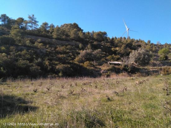 OPORTUNIDAD FINCA RUSTICA EN CORBERA D´EBRE CON PEQUEÑA CONSTRUCCION. - TARRAGONA