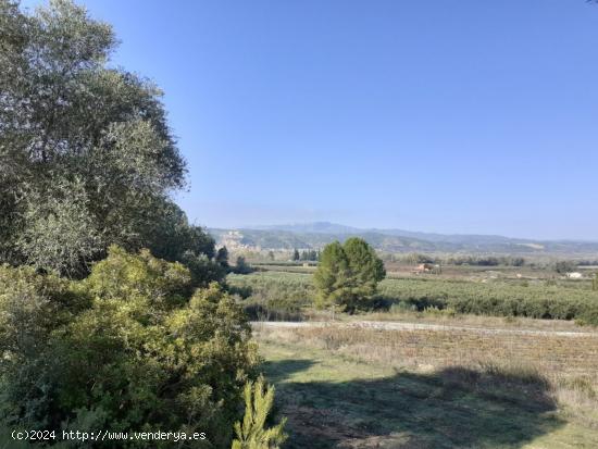 MAGNIFICA FINCA DE REGADIO EN GINESTAR AL LADO DE LA C-12 - TARRAGONA