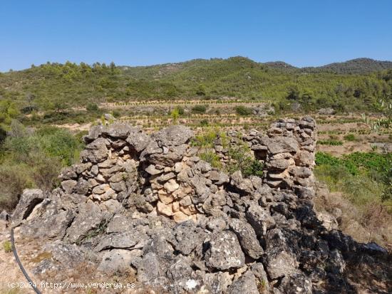 OCASION FINCA DE REGADIO EN ENTORNO NATURAL EN LA PALM A D´EBRE - TARRAGONA