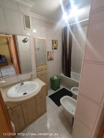 Bonito piso 1 dormitorio en pleno centro Torrevieja - ALICANTE