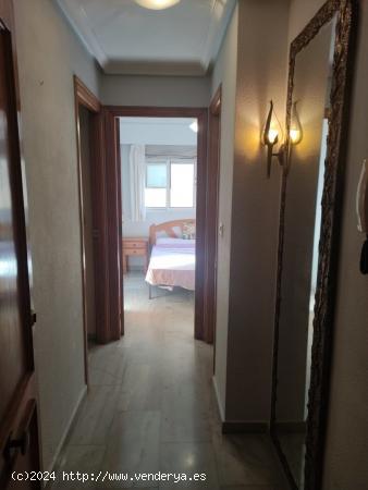 Bonito piso 1 dormitorio en pleno centro Torrevieja - ALICANTE