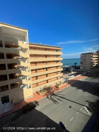 MIRAMAR, LA MATA, 2 HABS, VISTAL AL MAR, 99.000€ - ALICANTE