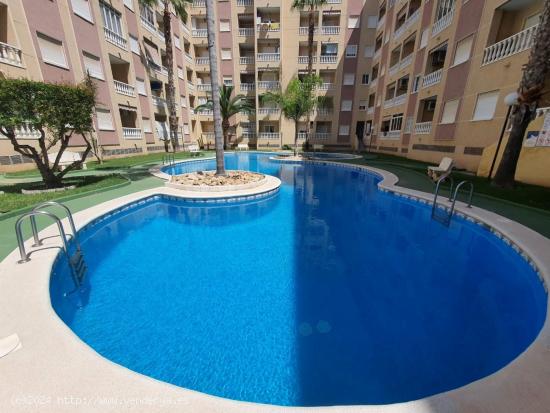  REBAJADO PUERTO DE 1 HAB PISCINA 62.900€ - ALICANTE 