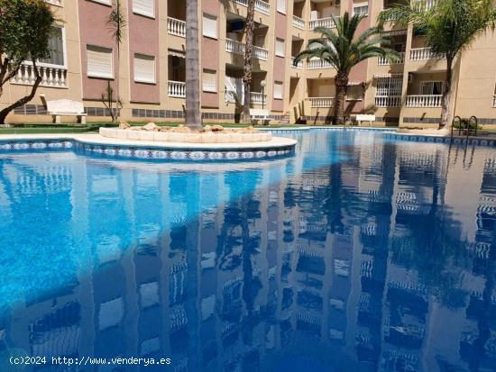 REBAJADO PUERTO DE 1 HAB PISCINA 62.900€ - ALICANTE