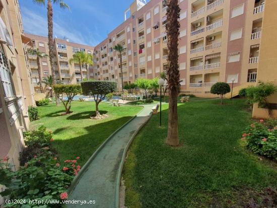 REBAJADO PUERTO DE 1 HAB PISCINA 62.900€ - ALICANTE