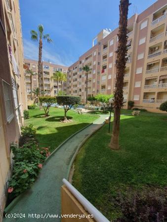 REBAJADO PUERTO DE 1 HAB PISCINA 62.900€ - ALICANTE