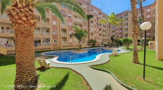  PUERTO 1 HAB CON PISCINA Y GARAJE 73.000 - ALICANTE 