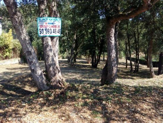  A 7 KM DE LA PLAYA DE BLANES --  se venden 2 parcelas - BARCELONA 