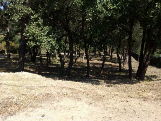 A 7 KM DE LA PLAYA DE BLANES --  se venden 2 parcelas - BARCELONA