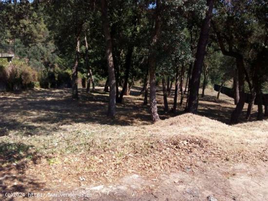 A 7 KM DE LA PLAYA DE BLANES --  se venden 2 parcelas - BARCELONA