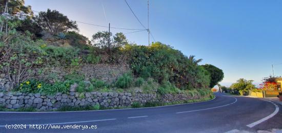 TERRENO URBANO. LA GUANCHA - TENERIFE NORTE - SANTA CRUZ DE TENERIFE